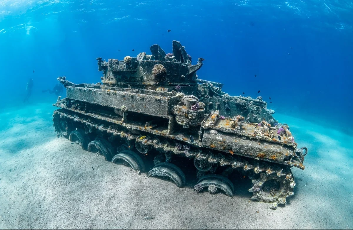 top artificial reefs in the world | The tank